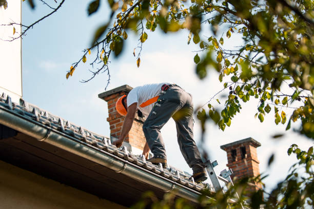 Best Metal Roofing Contractor  in Belmont, PA