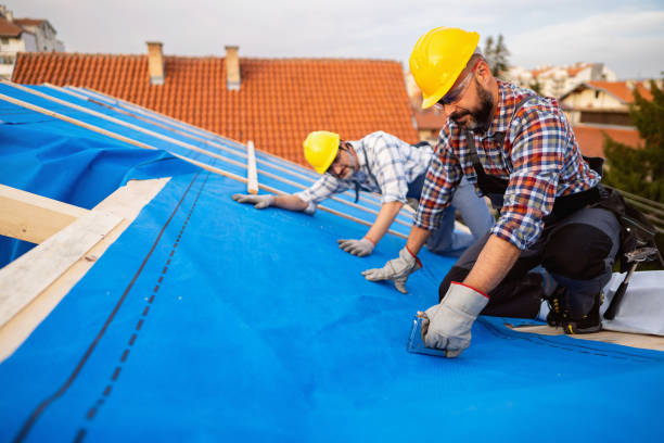 Best Gutter Installation and Roofing  in Belmont, PA
